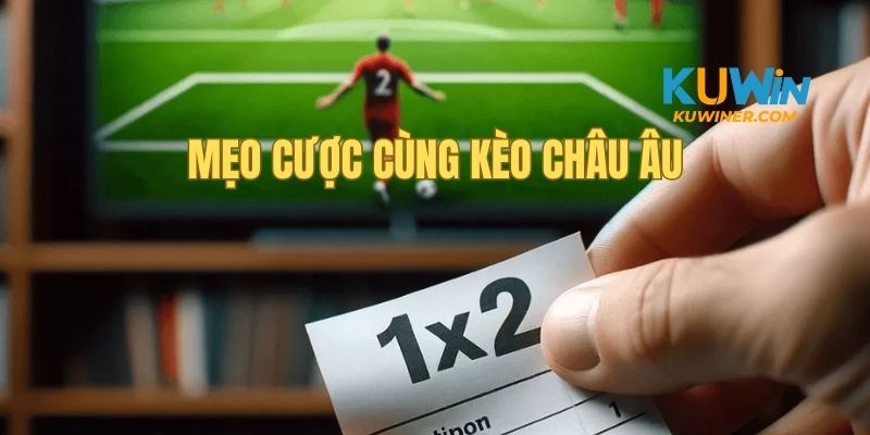 Hướng dẫn chi tiết cách cuợc tiền trong kèo 1x2