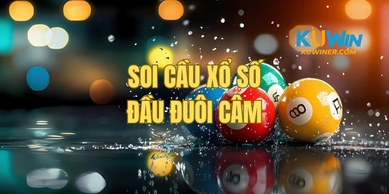 Dự đoán hiệu quả và chính xác với đầu đuôi câm